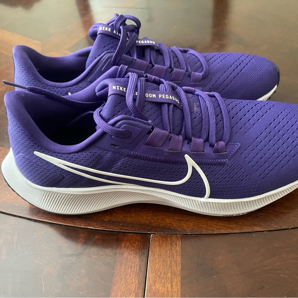 Men’s Nike Zoom Pegasus 10.5